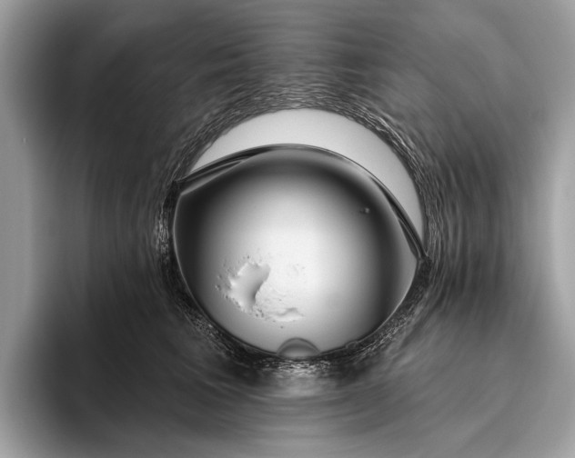 X0000095920613200801251031