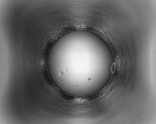 X0000095920614200801251031