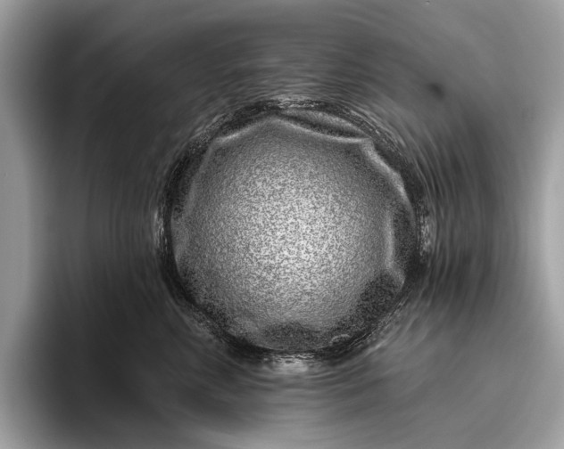 X0000095920618200801251031