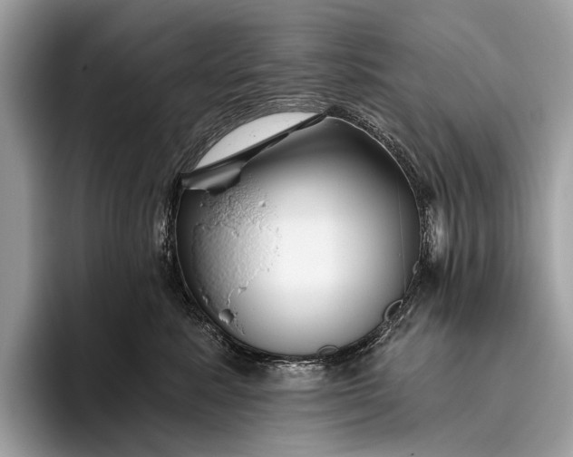 X0000095920619200801251031