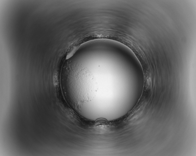 X0000095920620200801251031