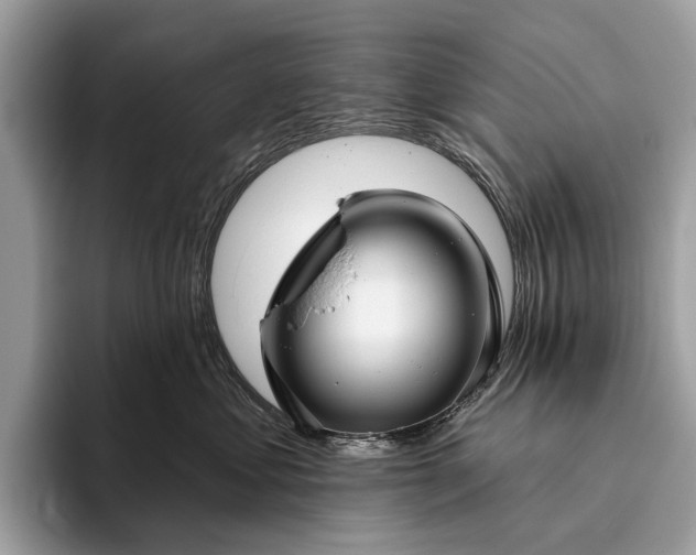 X0000095920621200801251031