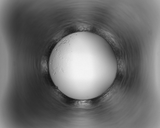 X0000095920622200801251031