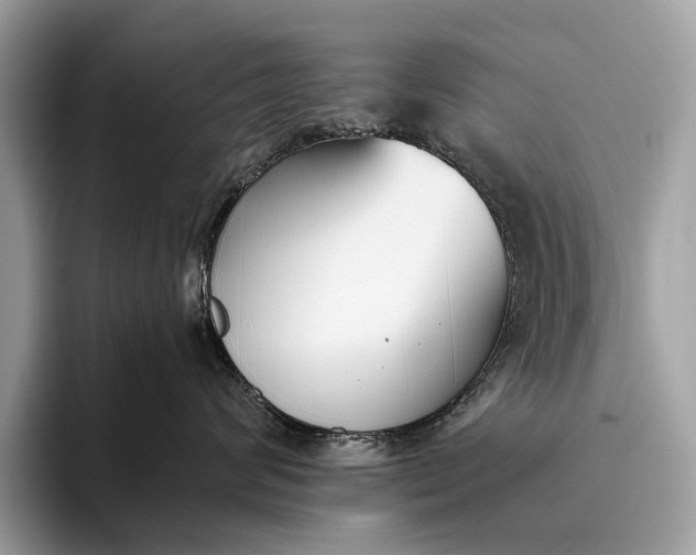 X0000095920624200801251031