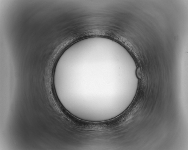 X0000095920625200801251030