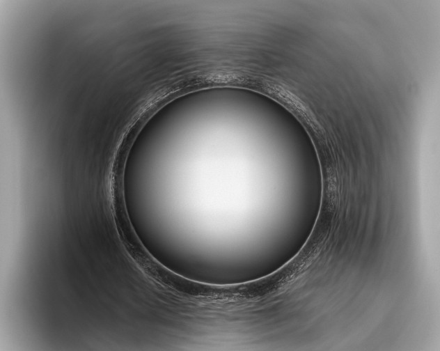 X0000095920626200801251030