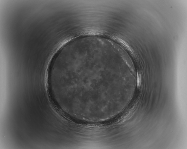 X0000095920627200801251030