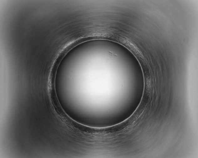 X0000095920628200801251030