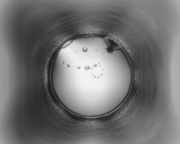 X0000095920629200801251030