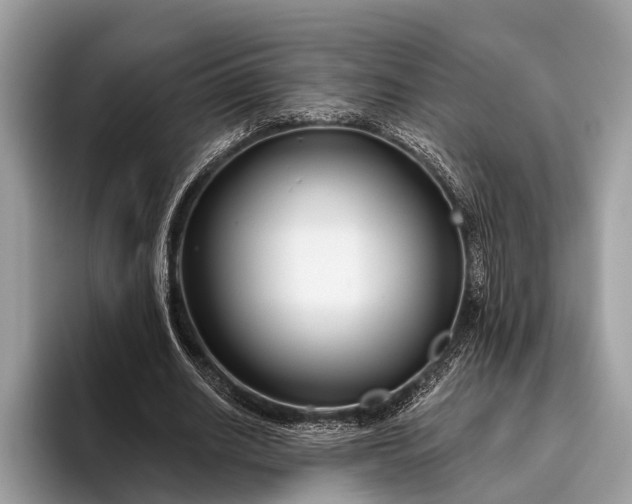 X0000095920630200801251030