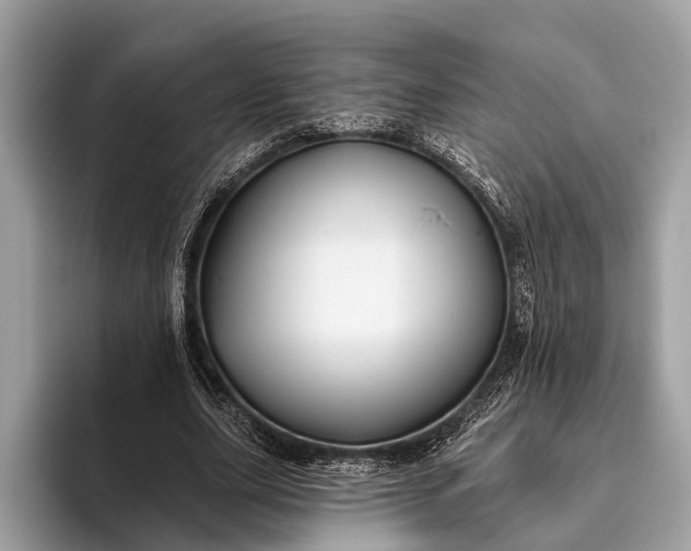 X0000095920631200801251030