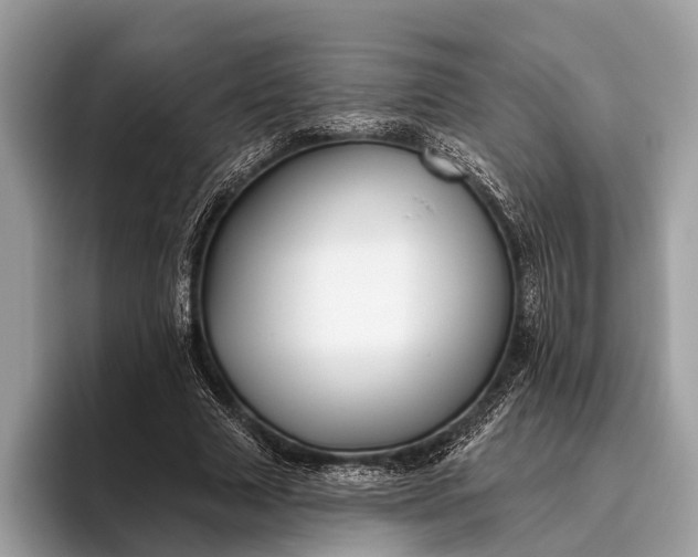 X0000095920633200801251030