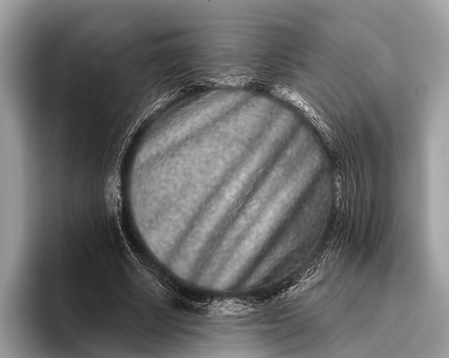 X0000095920634200801251030