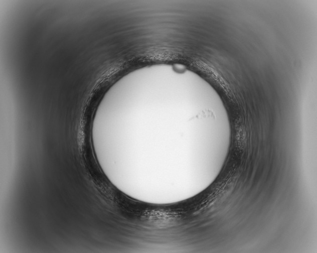 X0000095920635200801251030