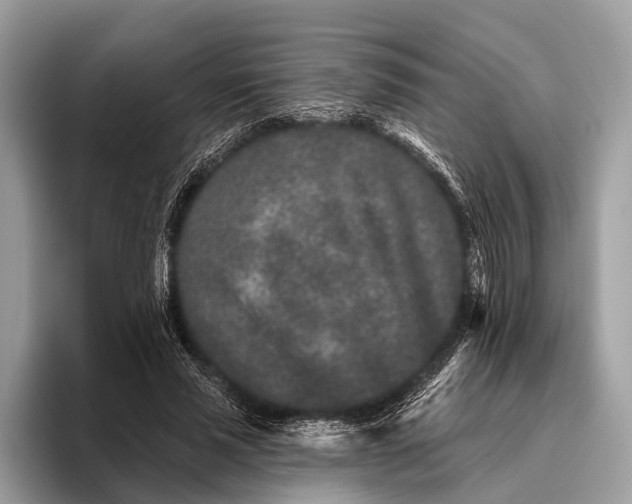 X0000095920637200801251030