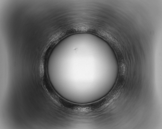 X0000095920638200801251030