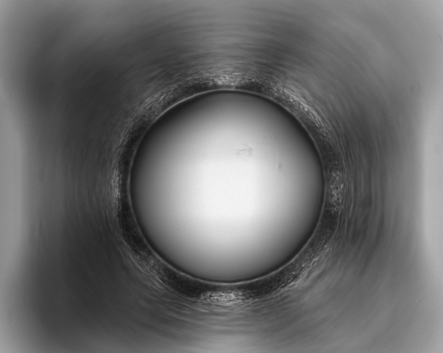 X0000095920639200801251030