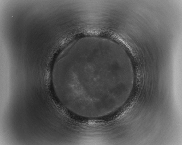 X0000095920641200801251030