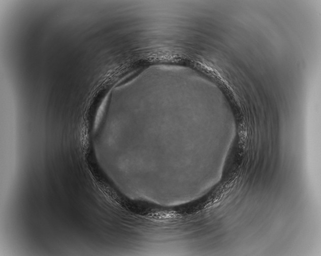 X0000095920642200801251030