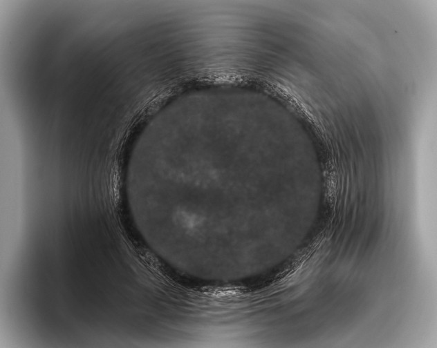 X0000095920643200801251031