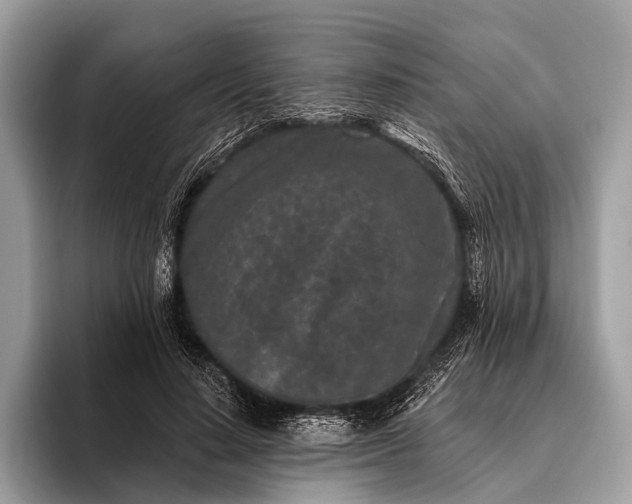 X0000095920644200801251031