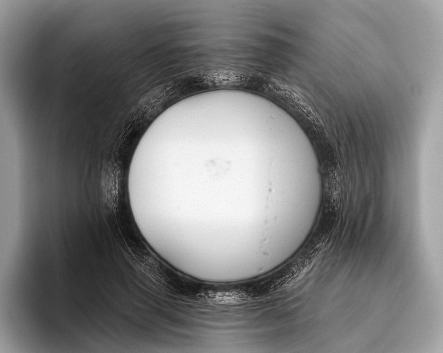 X0000095920645200801251031