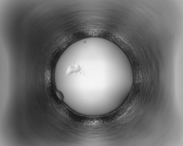 X0000095920646200801251031