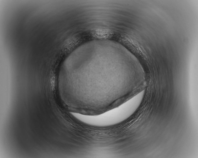 X0000095920647200801251031