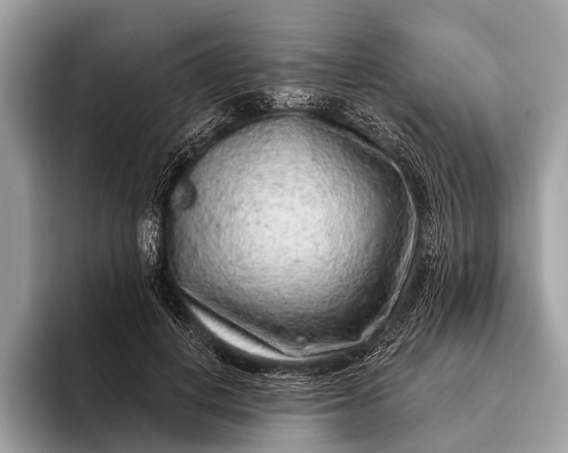 X0000095920648200801251031