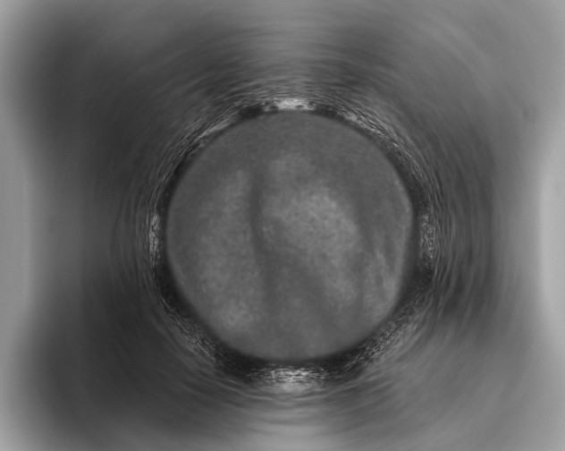 X0000095920650200801251031