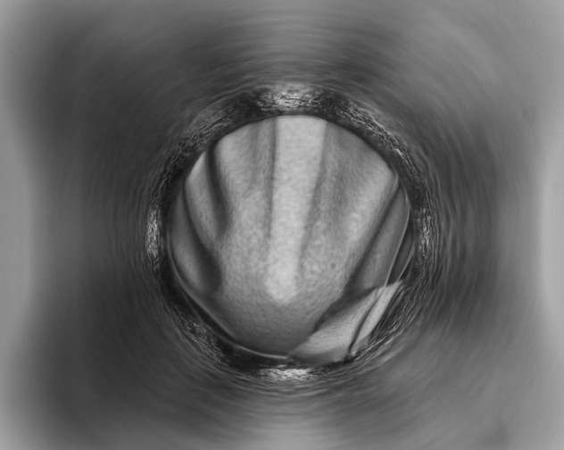 X0000095920651200801251031