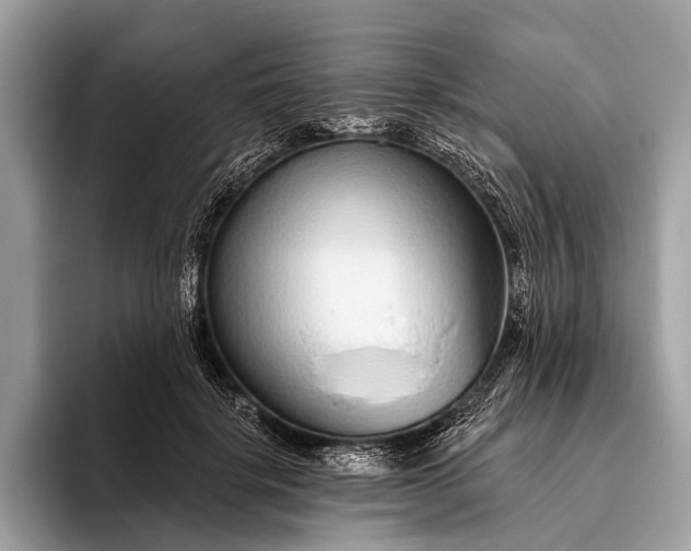 X0000095920652200801251031