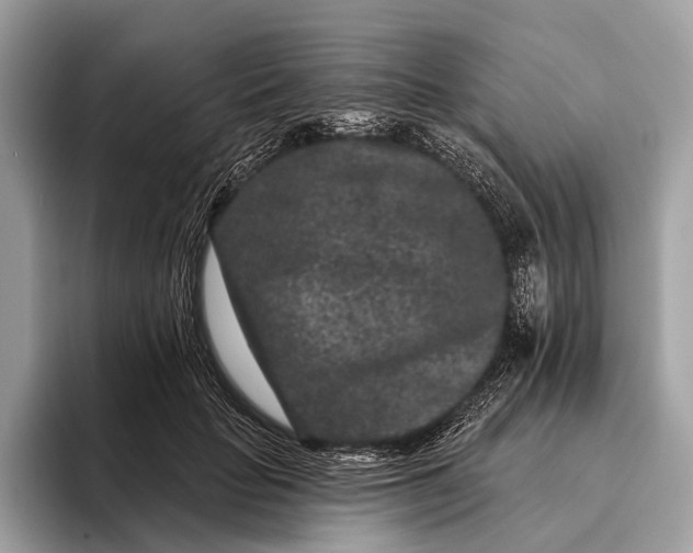 X0000095920653200801251031