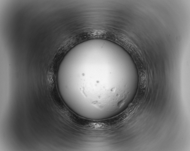 X0000095920654200801251031