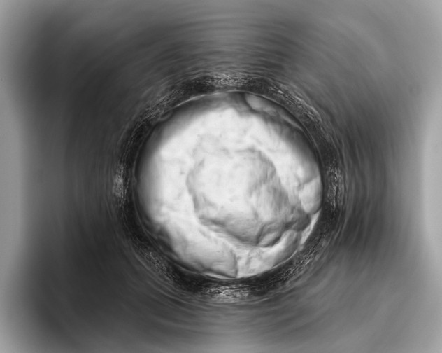 X0000095920655200801251031