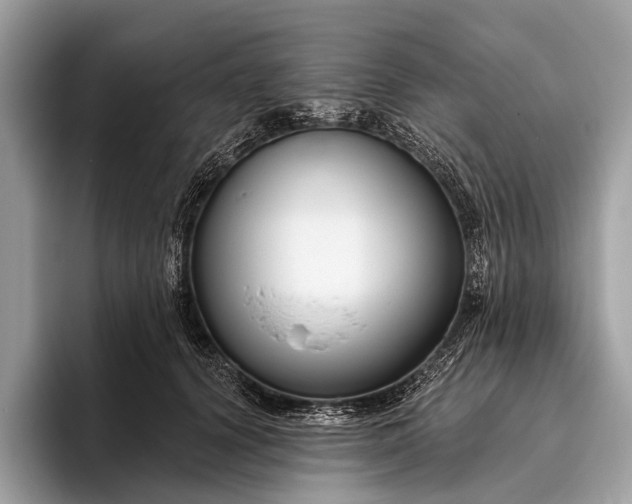 X0000095920656200801251031