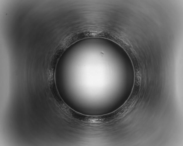 X0000095920657200801251031