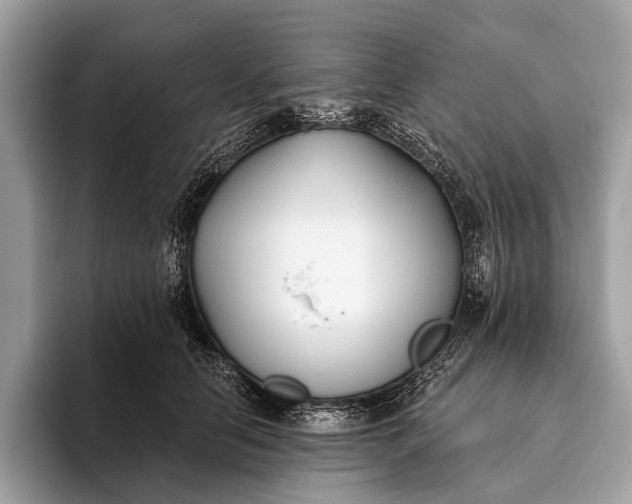 X0000095920658200801251031