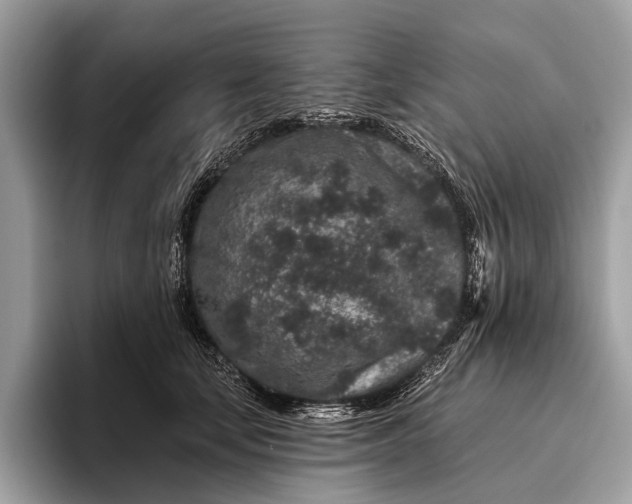 X0000095920659200801251031