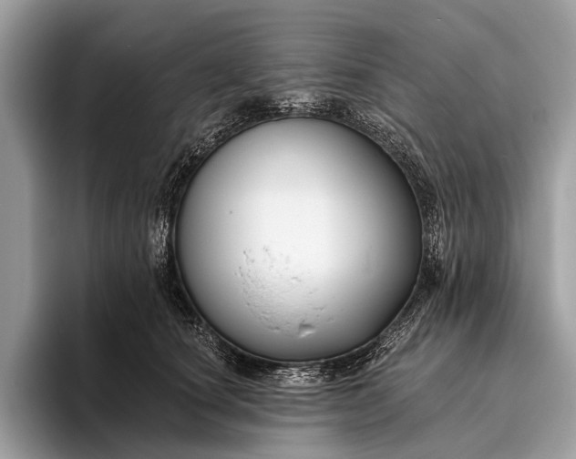 X0000095920660200801251031