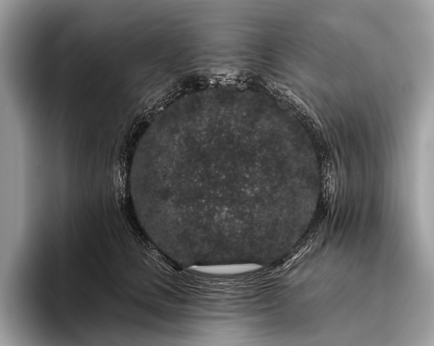 X0000095920661200801251031