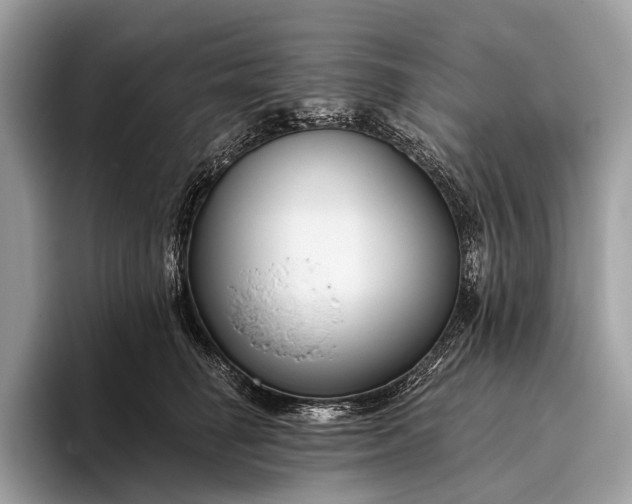 X0000095920662200801251031