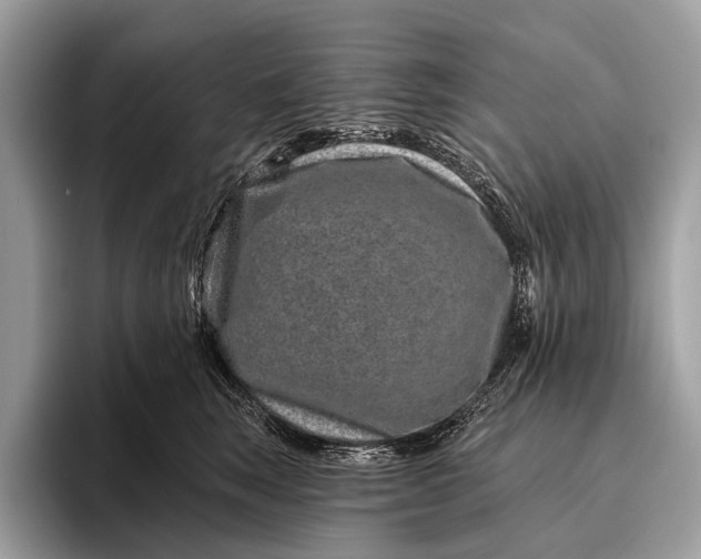 X0000095920663200801251031