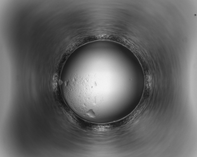 X0000095920664200801251031