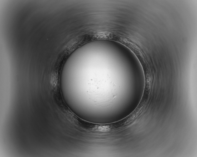 X0000095920665200801251031