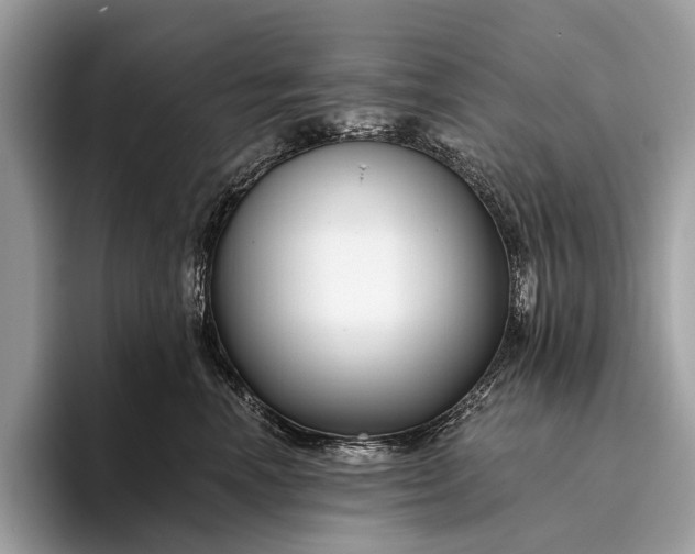 X0000095920666200801251031