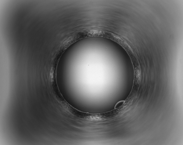 X0000095920668200801251031