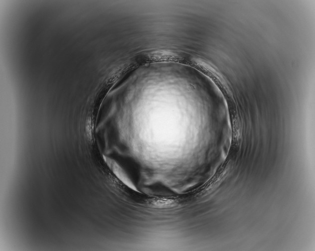 X0000095920669200801251031