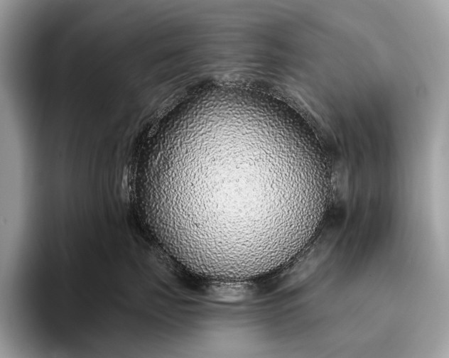 X0000095920671200801251031