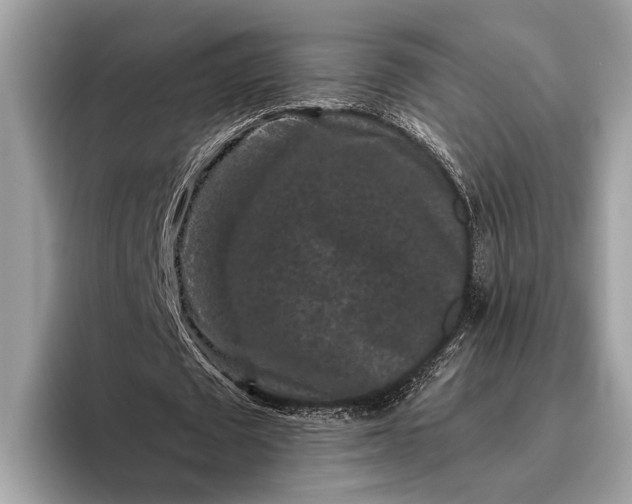 X0000095920673200801251030